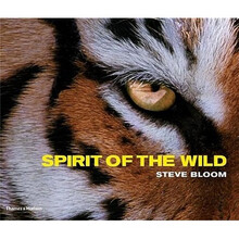 spirit