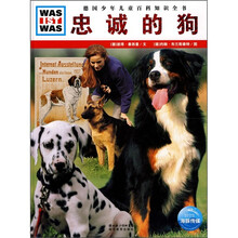 什么是什么