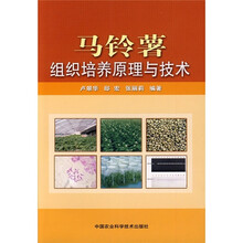 馬鈴薯