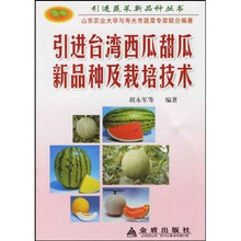 甜瓜
