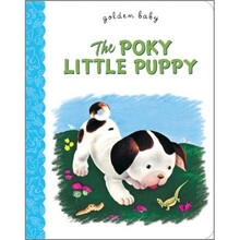 puppy