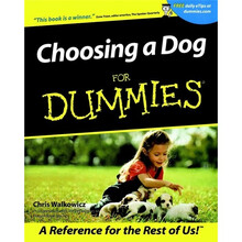 for dummies