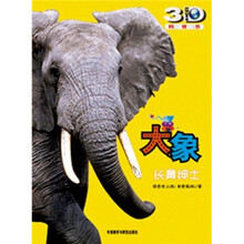 大象