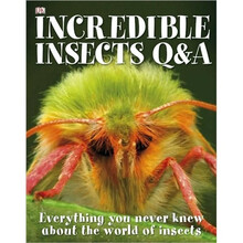 q a