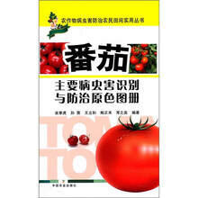 番茄