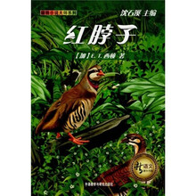 動物小說