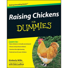 for dummies
