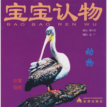 寶寶動物
