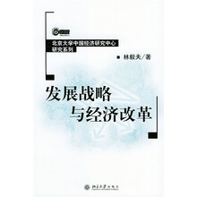 發(fā)展戰(zhàn)略