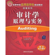 審計(jì)學(xué)原理與實(shí)務(wù)