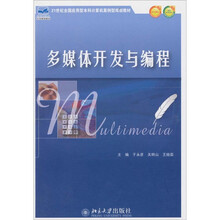多媒體開發(fā)