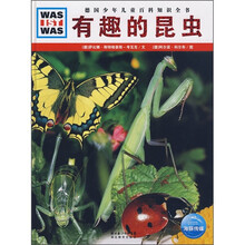 有趣的昆蟲