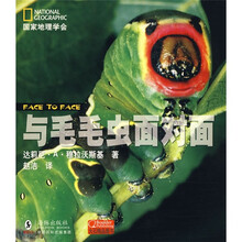 毛毛蟲