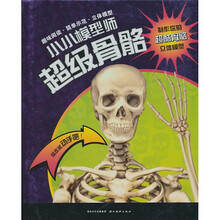 模型