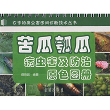 苦瓜
