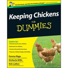 for dummies