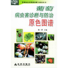 葡萄