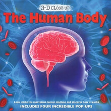 the body
