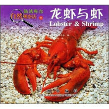 龍蝦