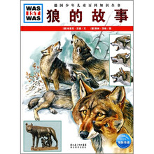什么是什么