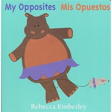 board book
