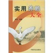 養(yǎng)鵝