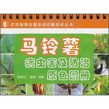馬鈴薯