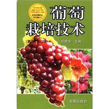 葡萄栽培