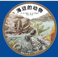 海邊的動物