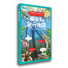 爬行動(dòng)物
