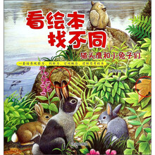繪本小兔子