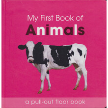 my first book