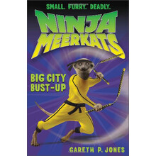 ninja