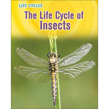 life cycle