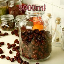 居元素阿波罗泡酒瓶 酿酒器 无铅玻璃泡酒罐 水