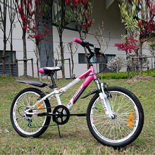 上海凤凰儿童自行车12\/14\/16寸表演车单车 法