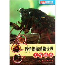 動物世界