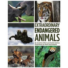 animals