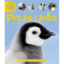 polar