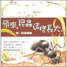 昆蟲