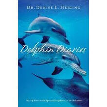 dolphin