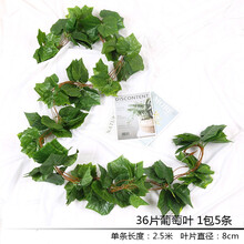 立體藤蔓葉子