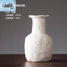 現(xiàn)代簡(jiǎn)約花瓶，讓你的家變成藝術(shù)