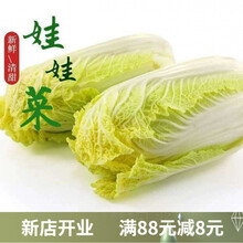 山胖子娃娃菜