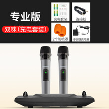 一拖二無(wú)線(xiàn)咪