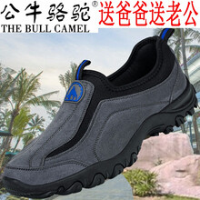公牛駱駝（THE BULL CAMEL）男士G1502灰藍 41