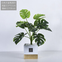 歐式擺件，裝點(diǎn)客廳的藝術(shù)生活