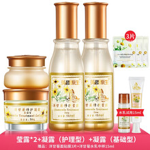 洋甘菊面膜霜