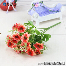 玫瑰小雛菊