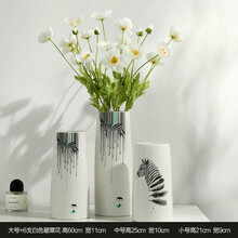 簡(jiǎn)約創(chuàng)意花瓶，讓生活更有情調(diào)